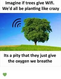 Should Trees give wifi or Oxygen?